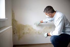 Best Commercial Mold Inspection in Pendleton, IN